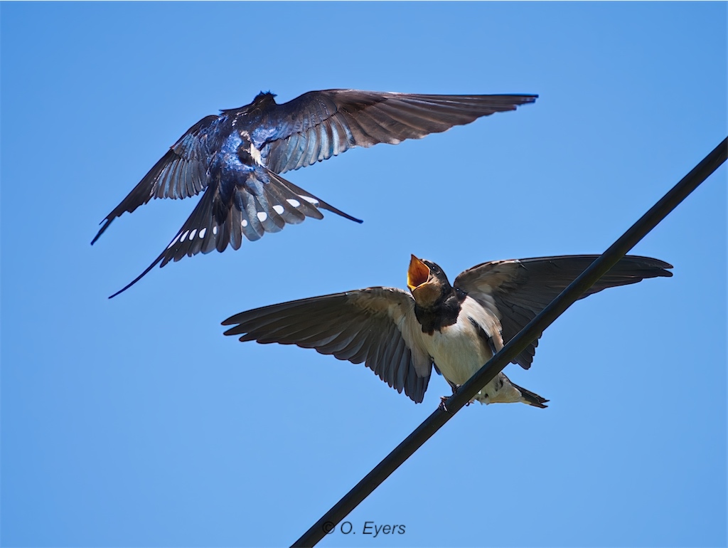 Stacks Image 628